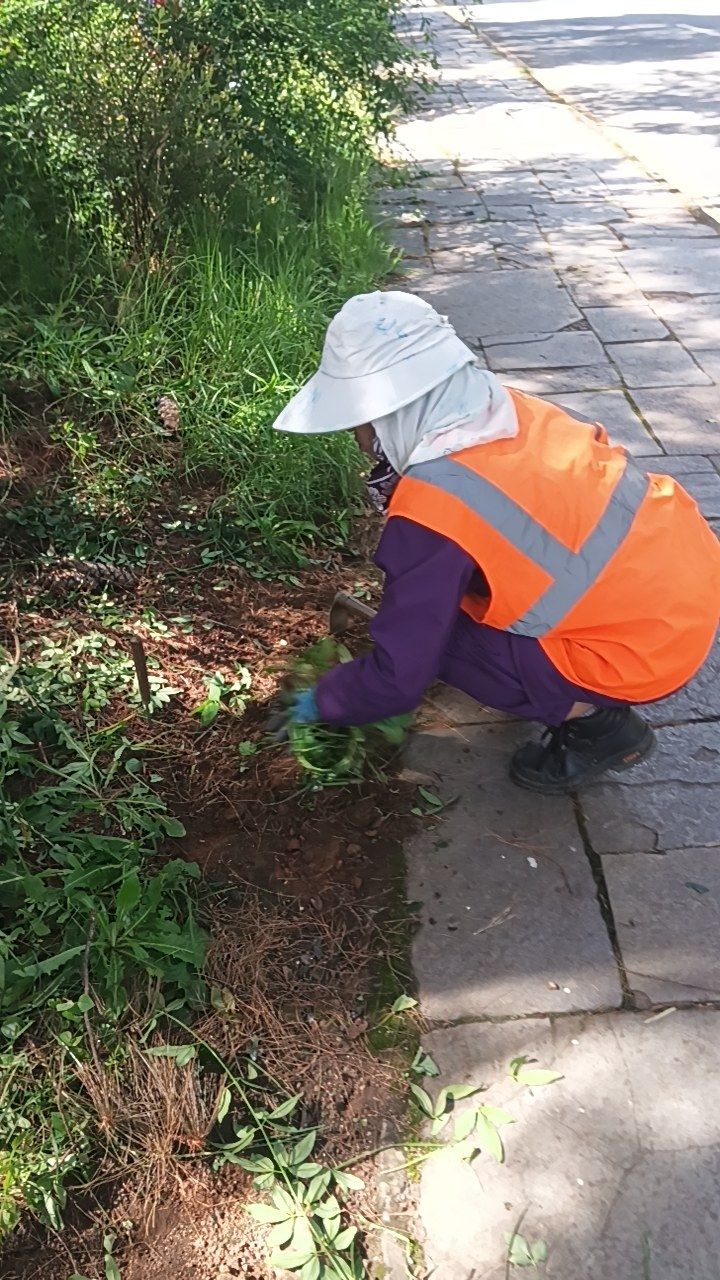 During cleaning photo