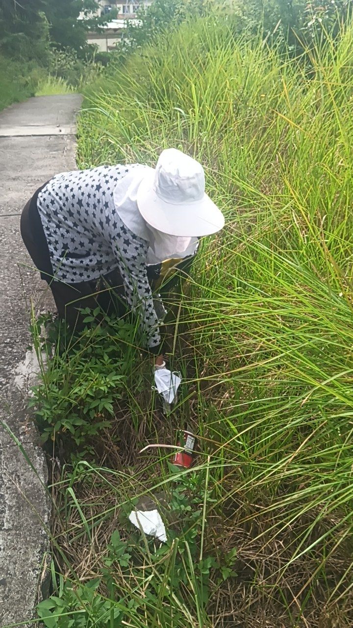 During cleaning photo