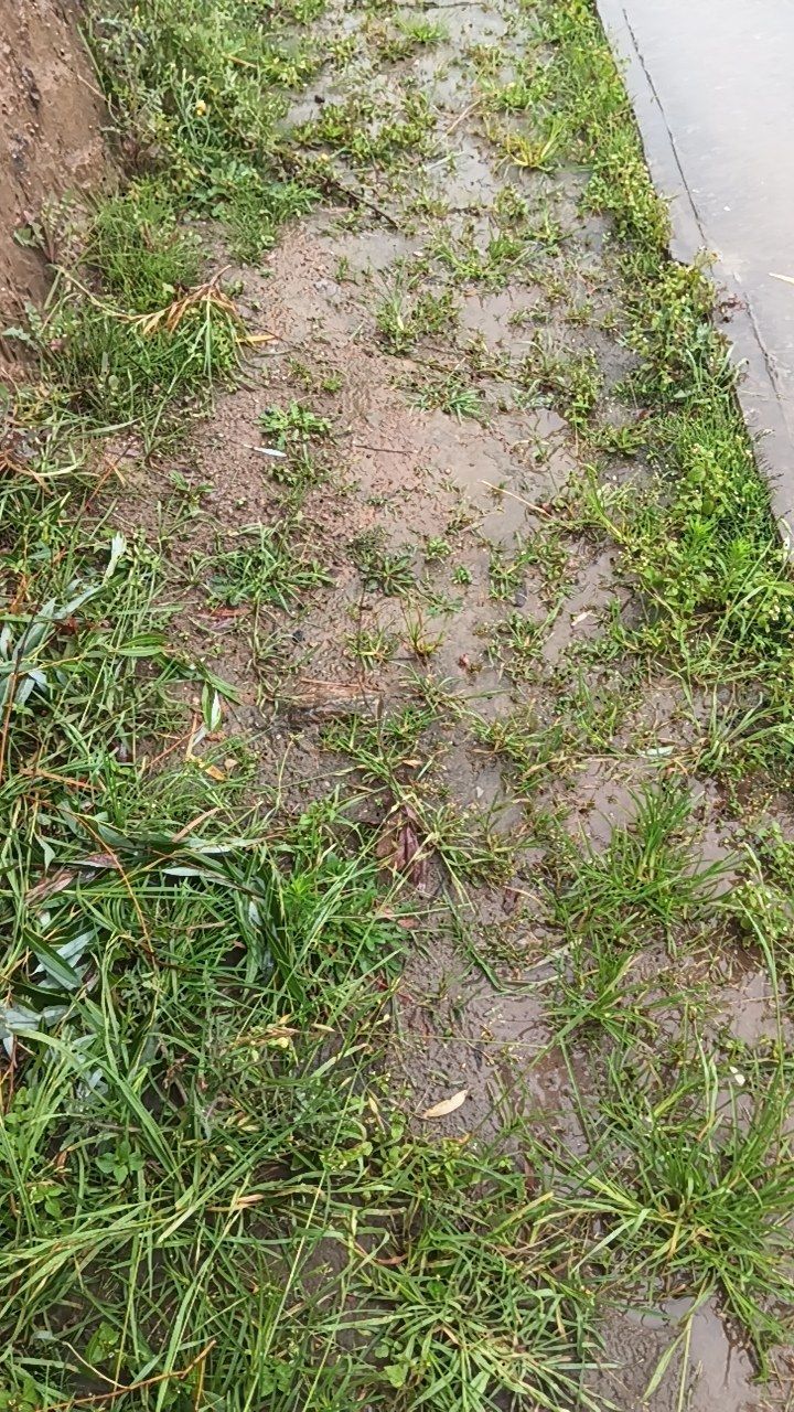 Before cleaning photo