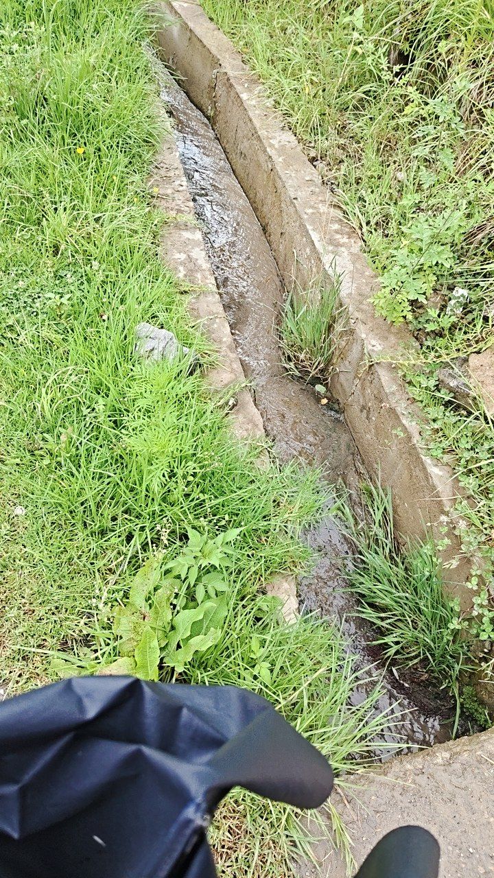 Before cleaning photo