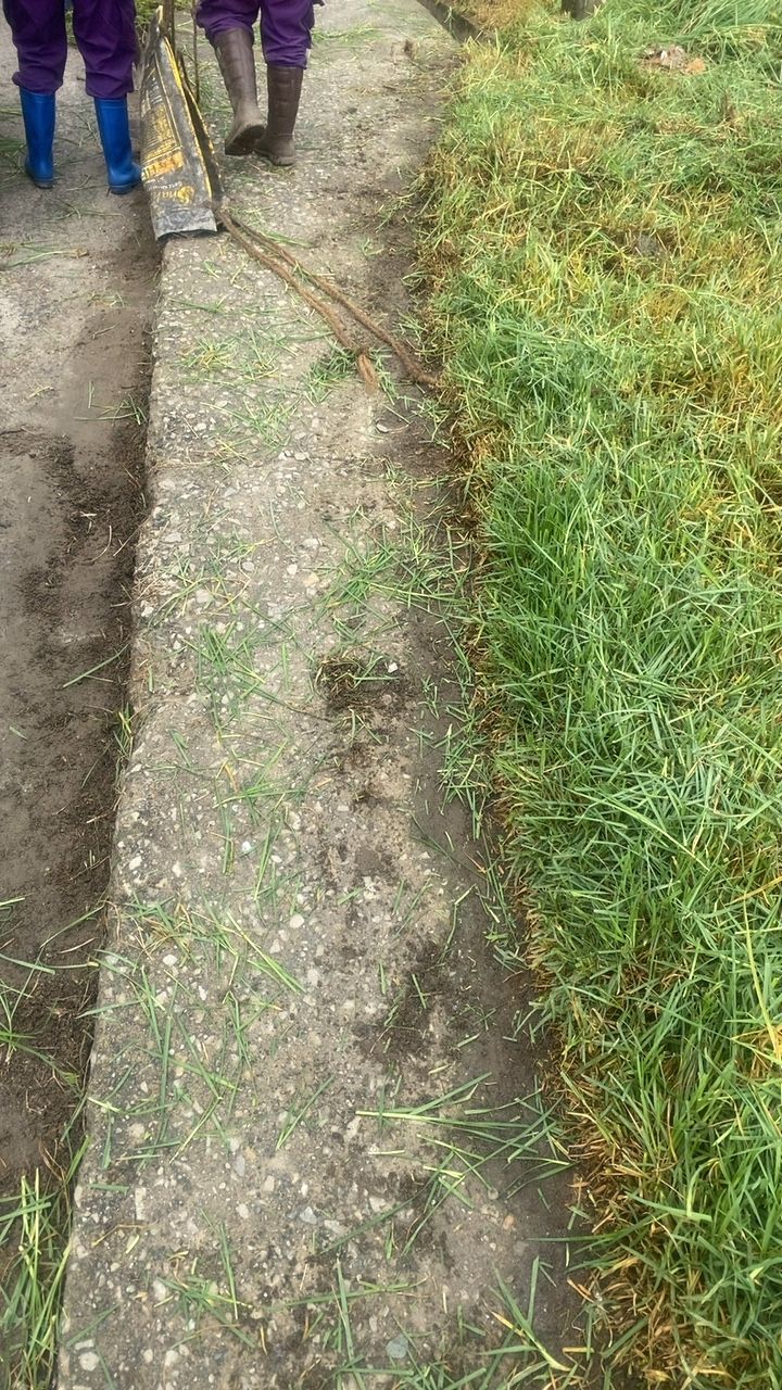 After cleaning photo