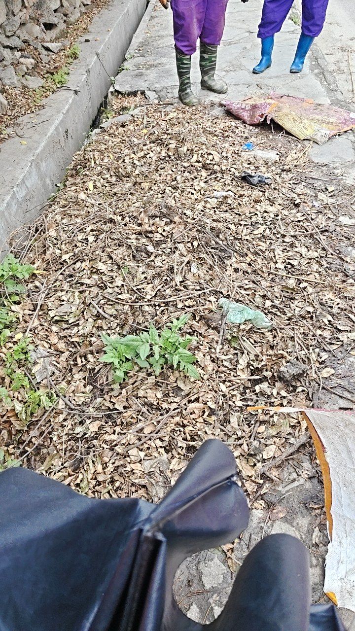 Before cleaning photo