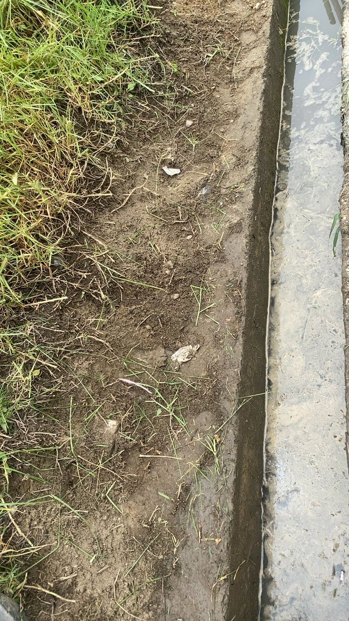 After cleaning photo