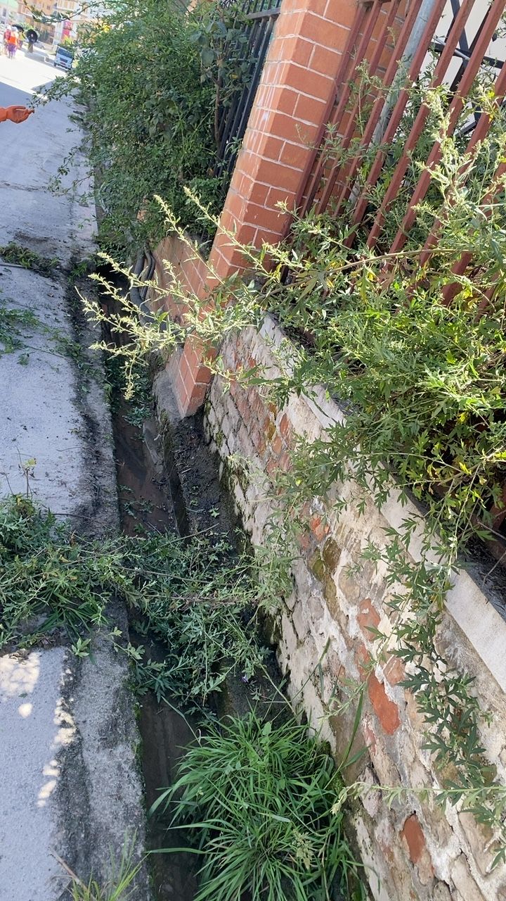 Before cleaning photo