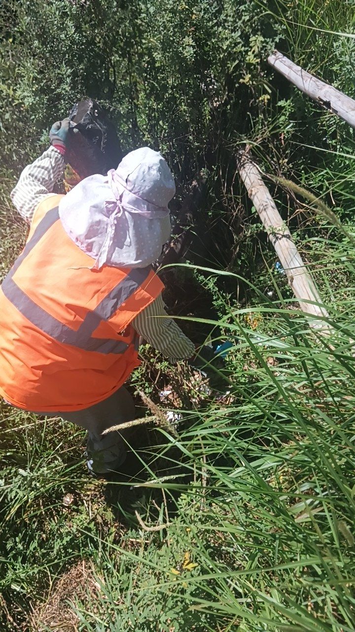 During cleaning photo
