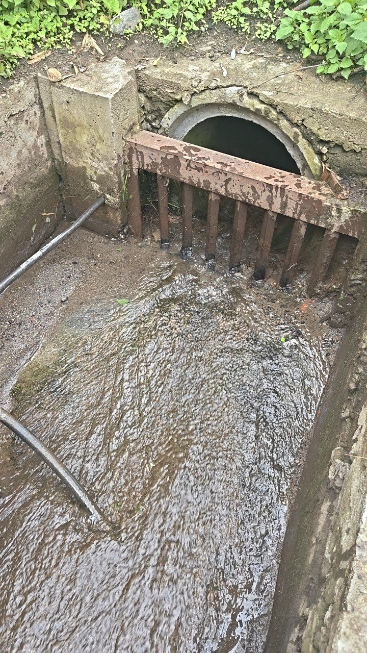 After cleaning photo