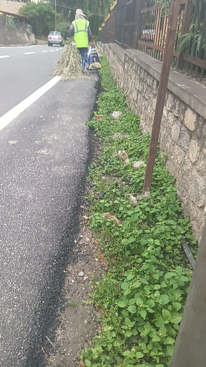 Before cleaning photo