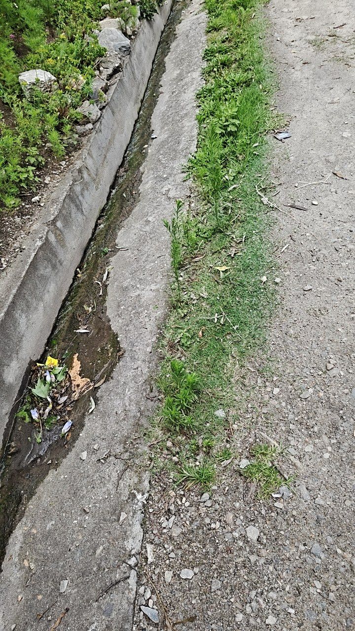 Before cleaning photo