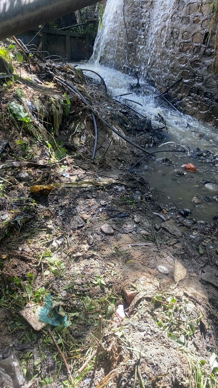 After cleaning photo