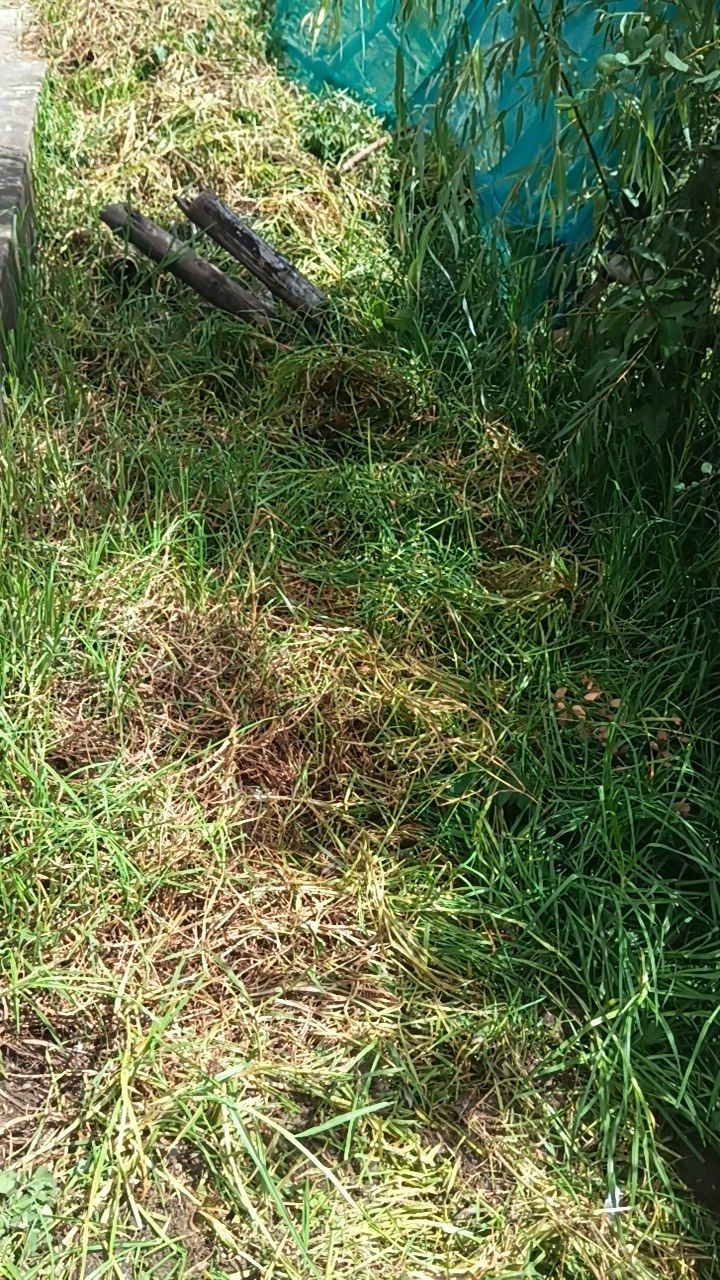 After cleaning photo