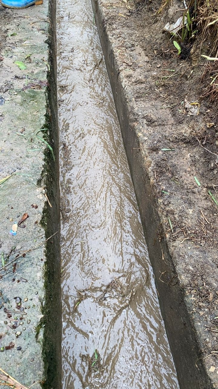 After cleaning photo