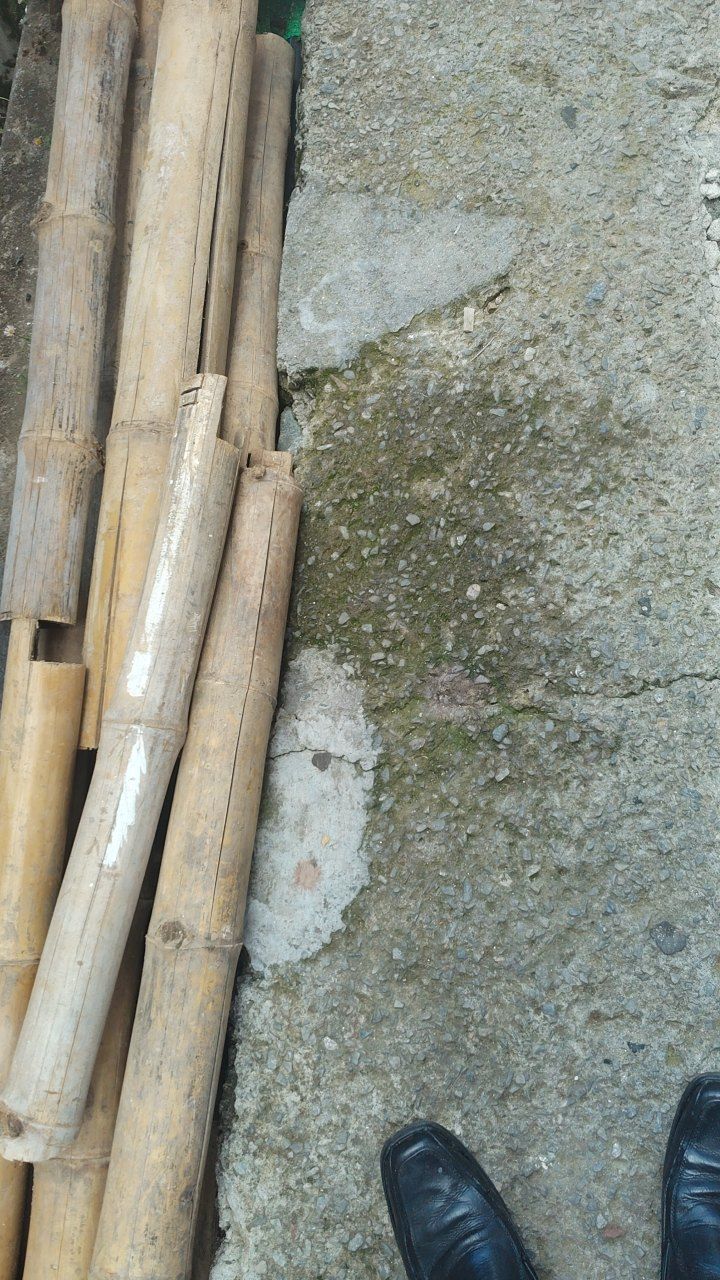 After cleaning photo