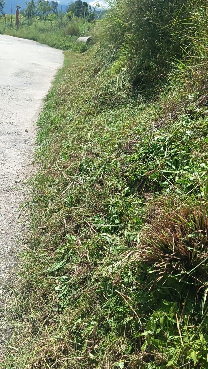 After cleaning photo