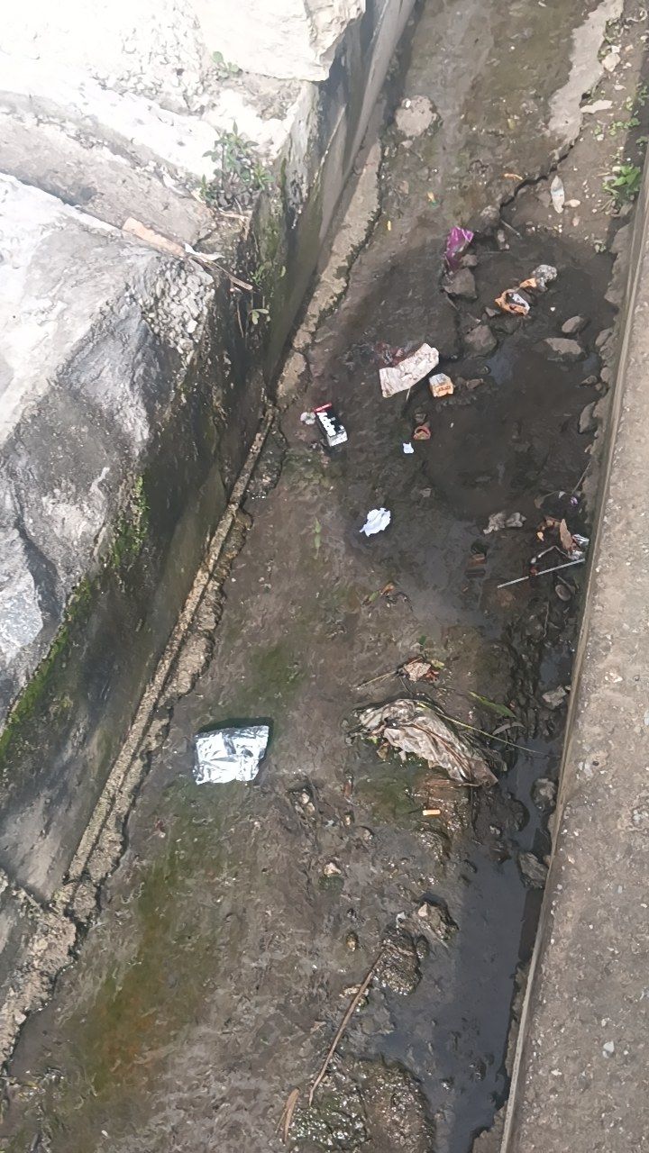 Before cleaning photo