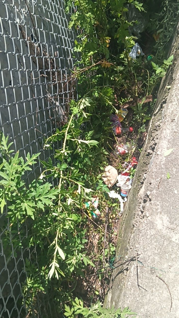 Before cleaning photo
