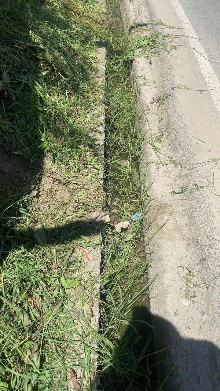 Before cleaning photo