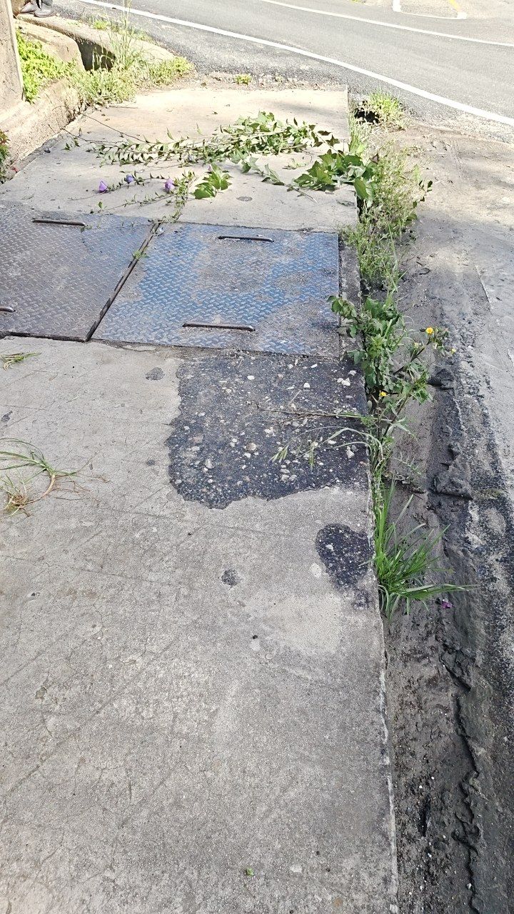 Before cleaning photo
