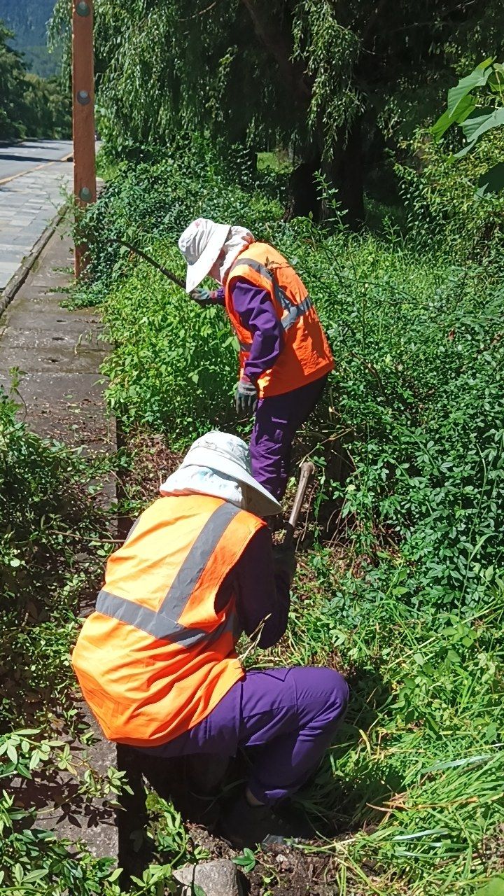 During cleaning photo