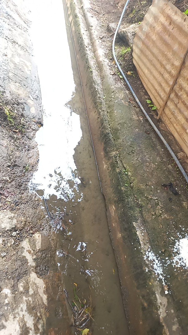 After cleaning photo