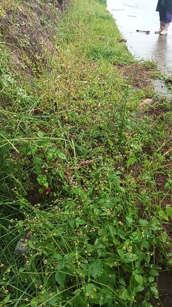 Before cleaning photo
