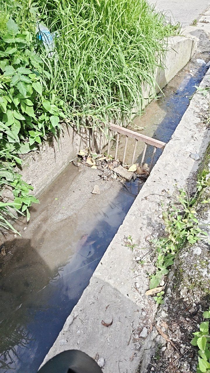 Before cleaning photo