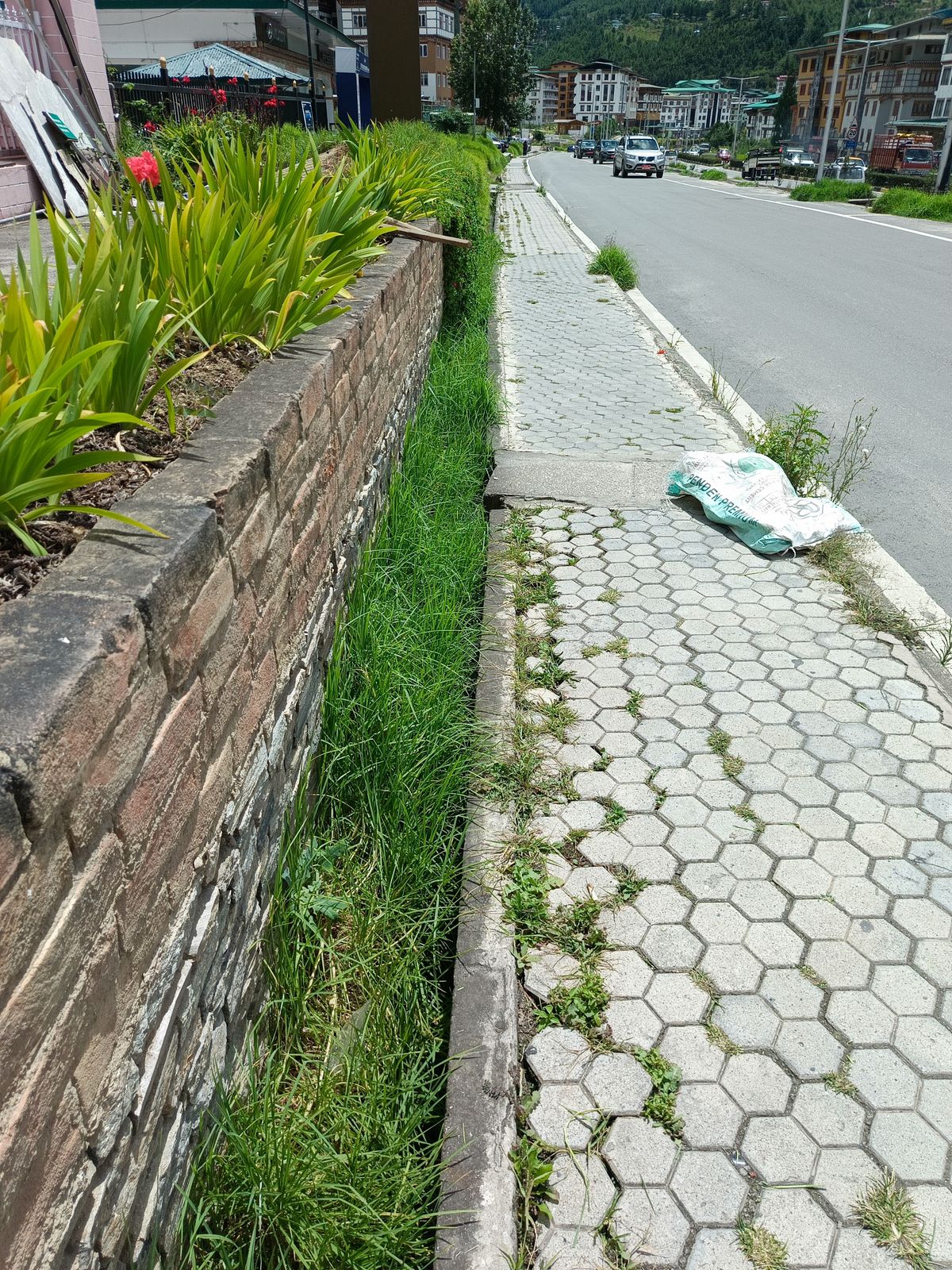 After cleaning photo