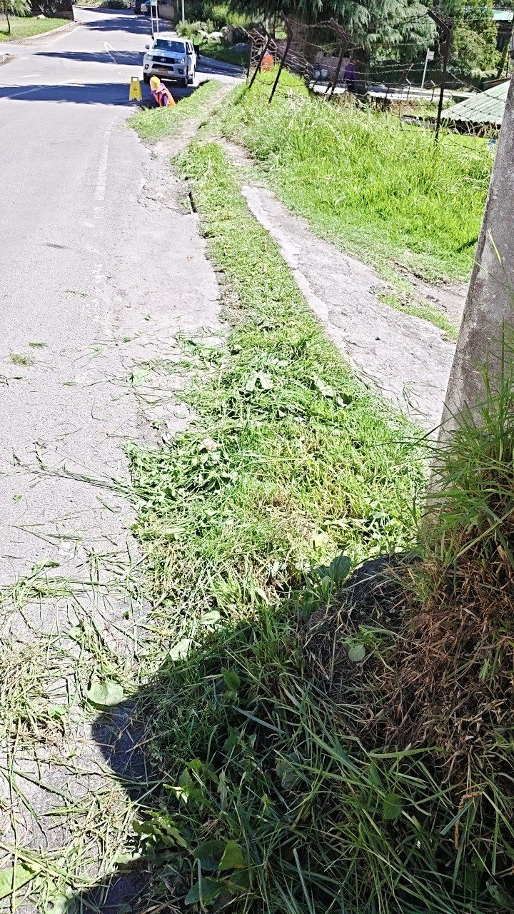 Before cleaning photo