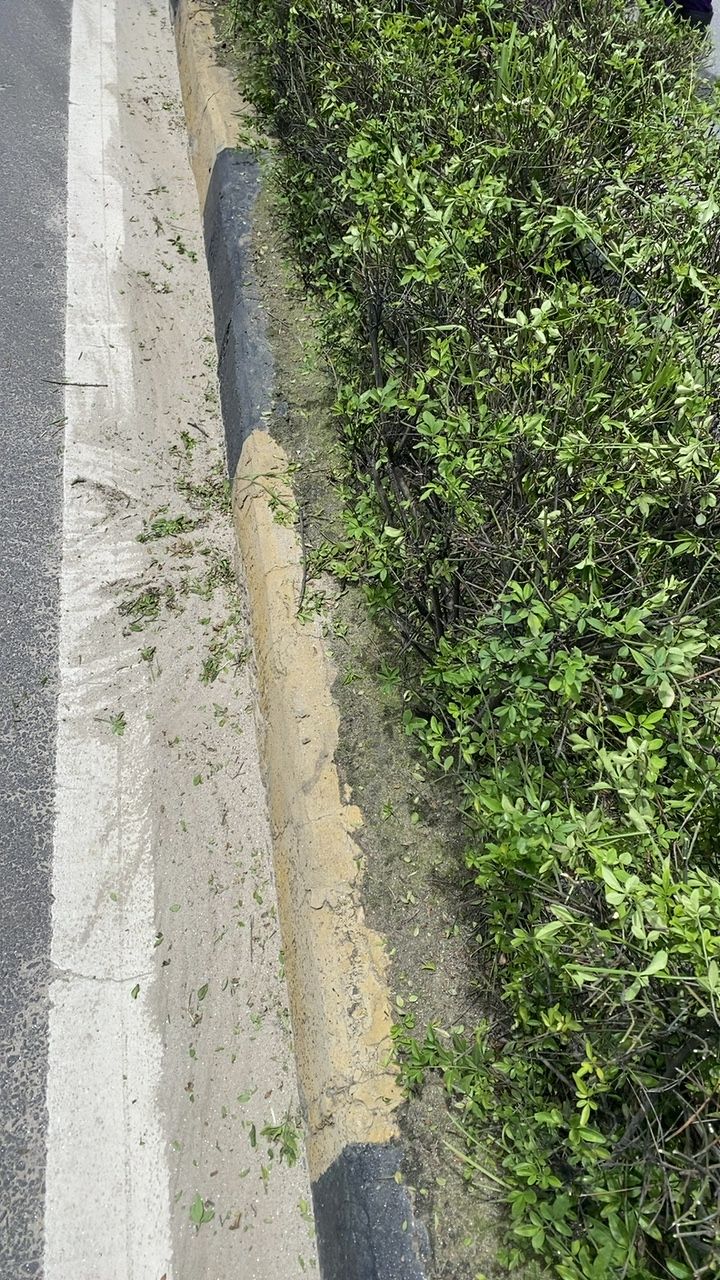 Before cleaning photo