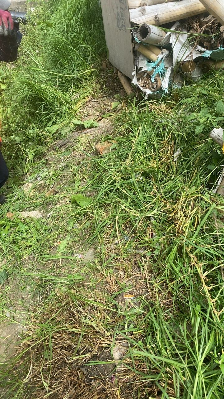 After cleaning photo