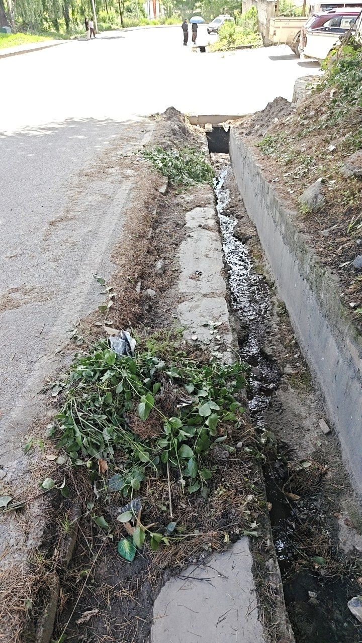 Before cleaning photo