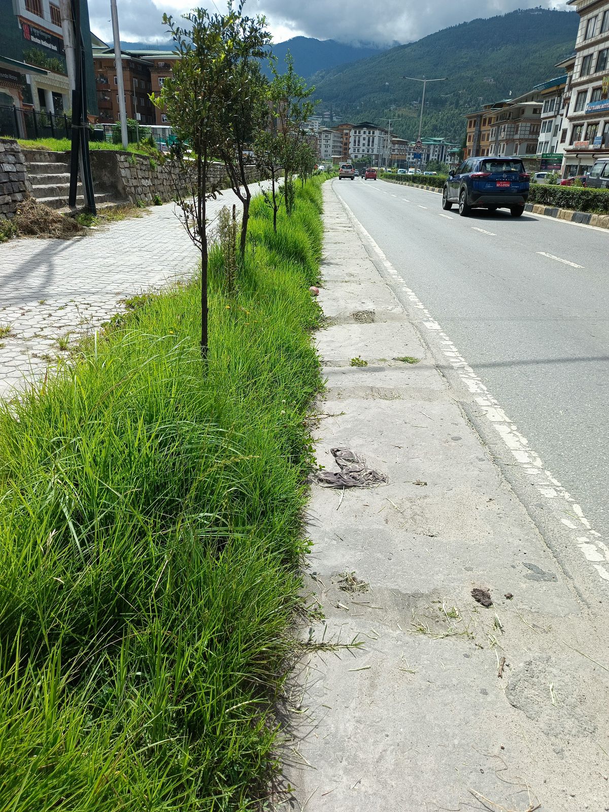 Before cleaning photo