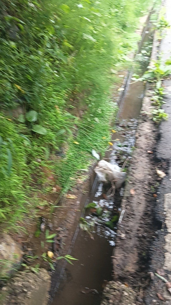 Before cleaning photo
