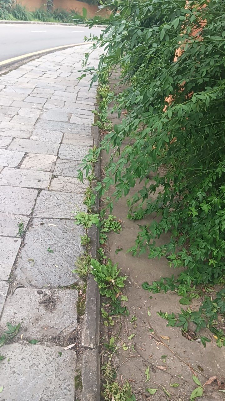 Before cleaning photo