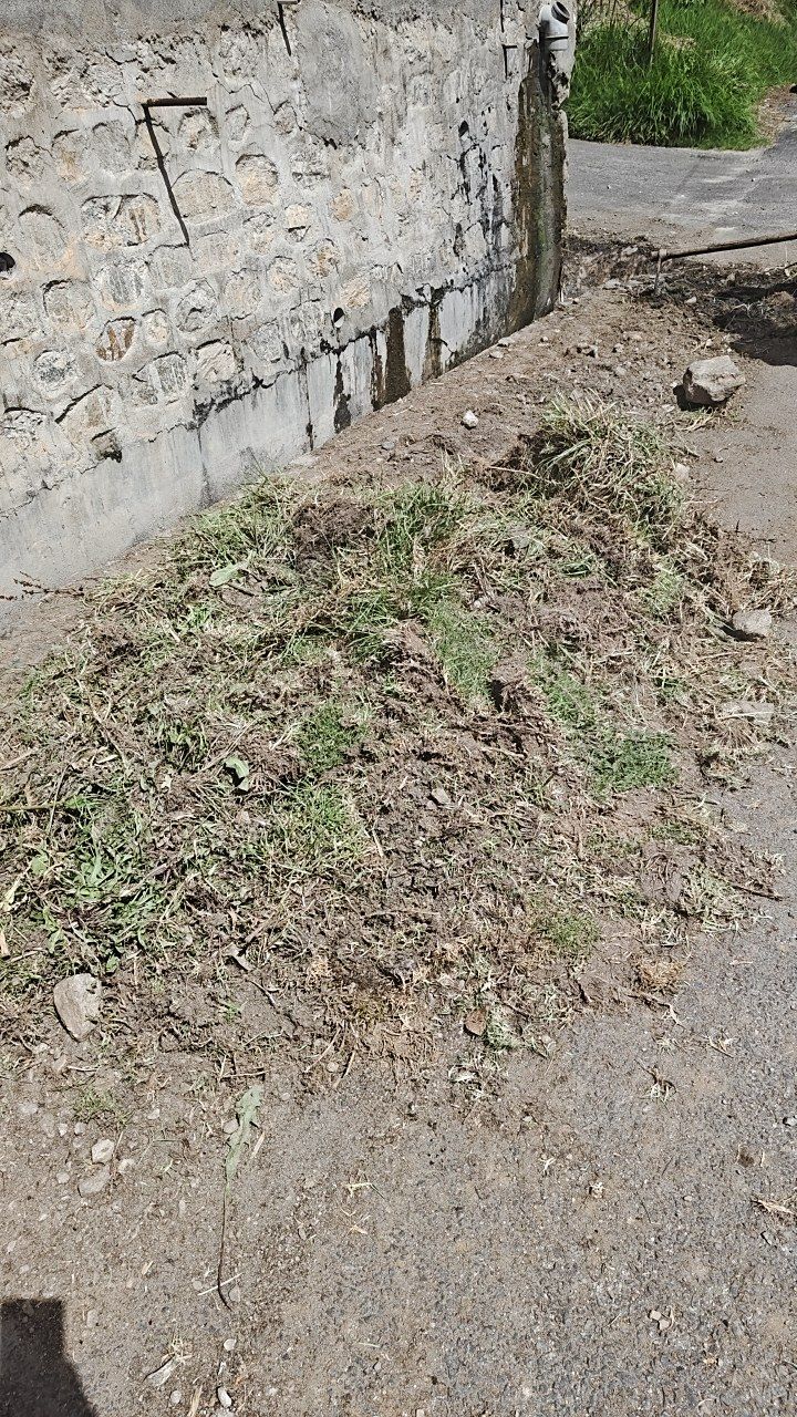Before cleaning photo