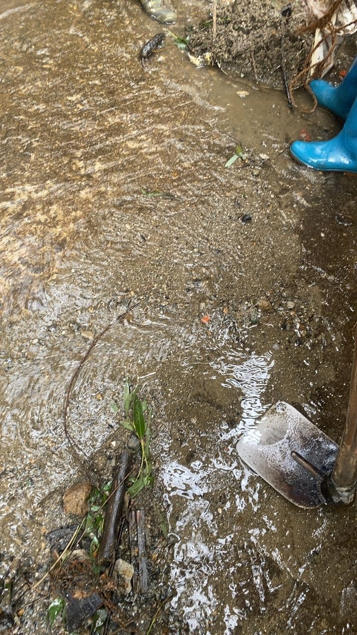 Before cleaning photo