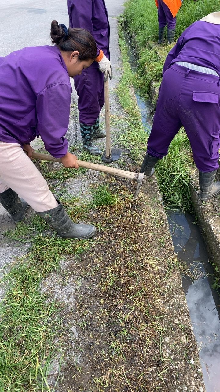 During cleaning photo