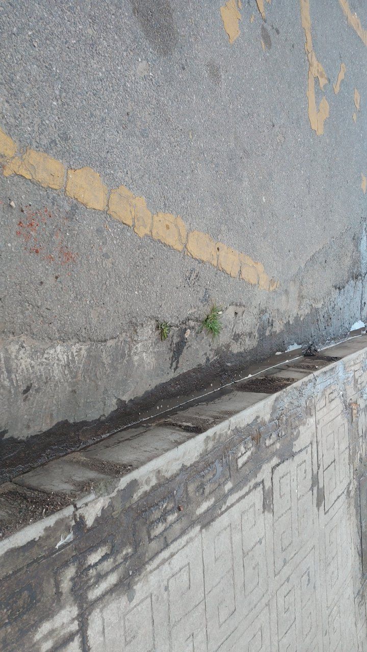 During cleaning photo