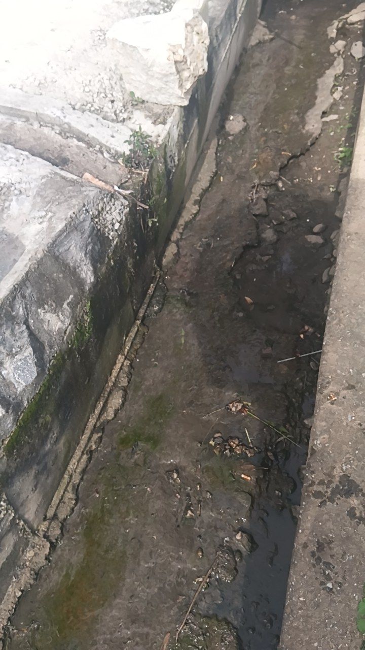 After cleaning photo