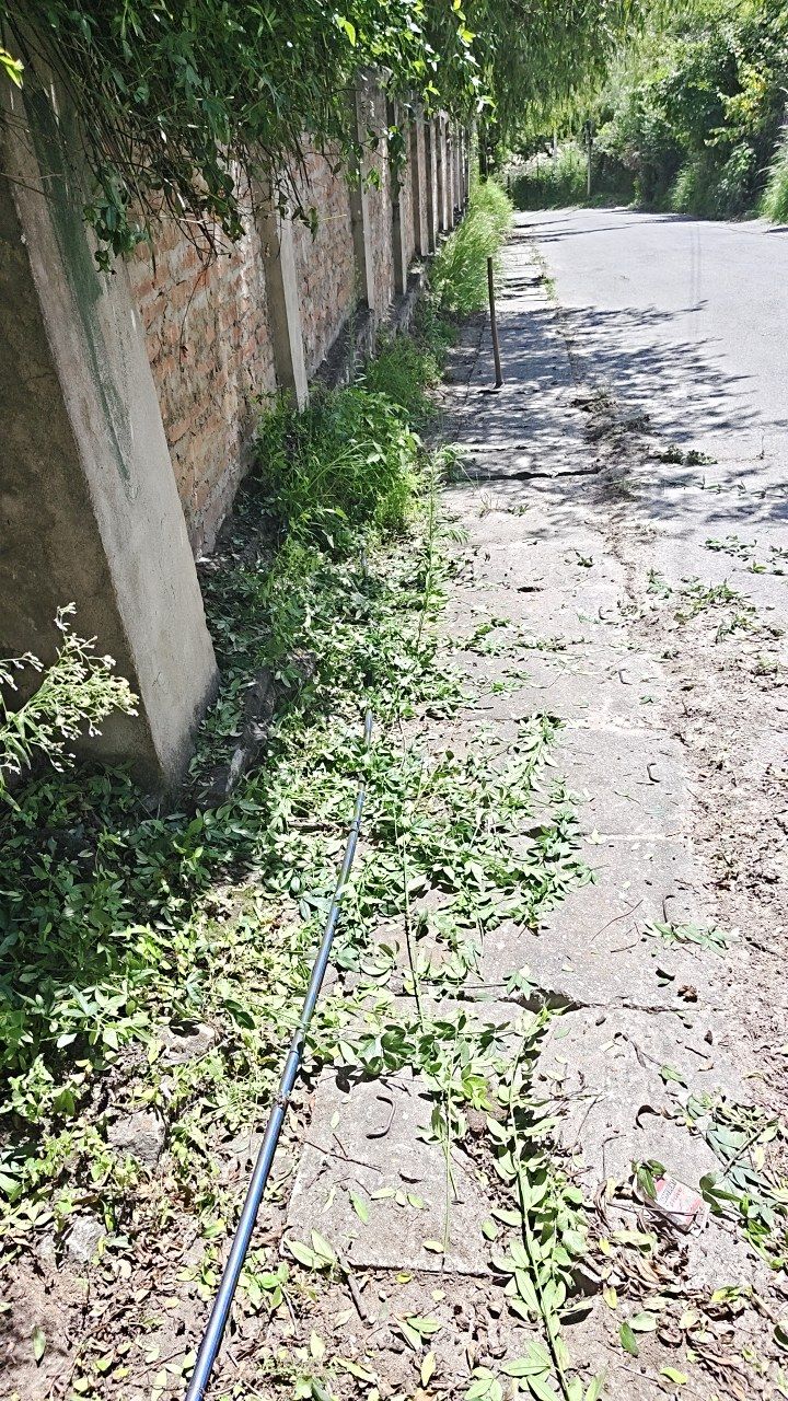 Before cleaning photo