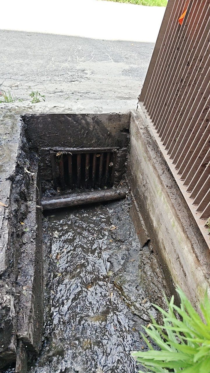 After cleaning photo