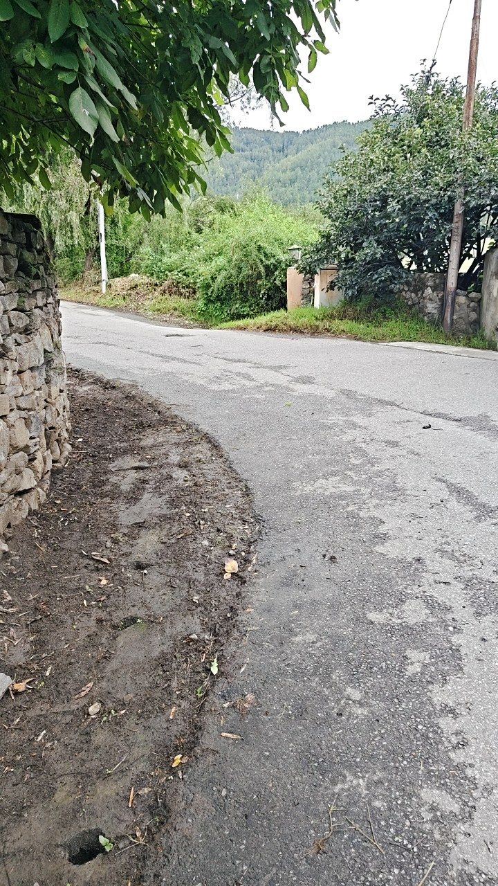 After cleaning photo
