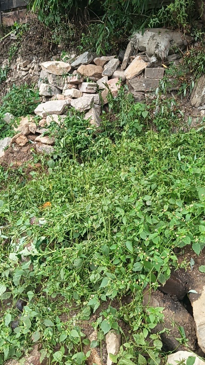 After cleaning photo