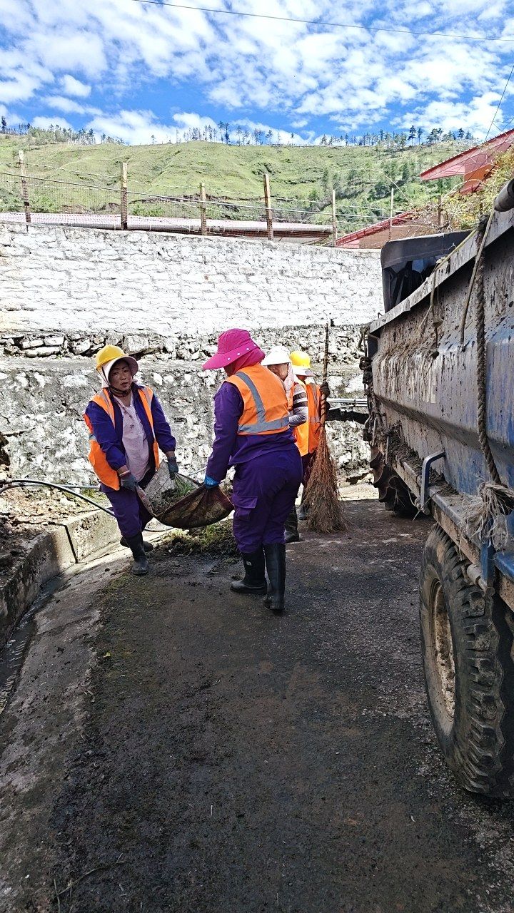 During cleaning photo