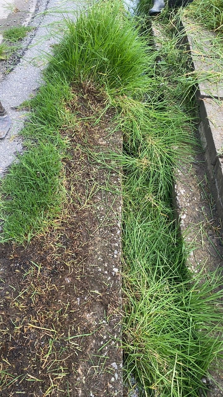 Before cleaning photo