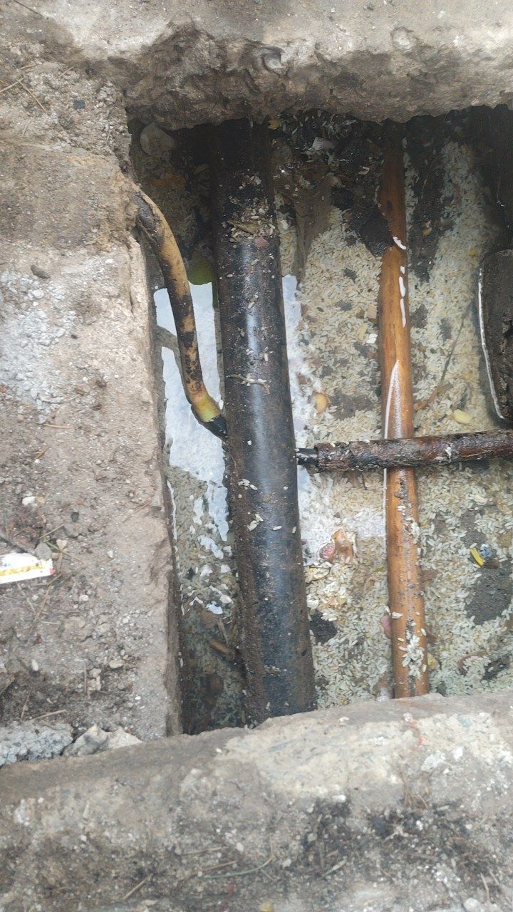 Before cleaning photo
