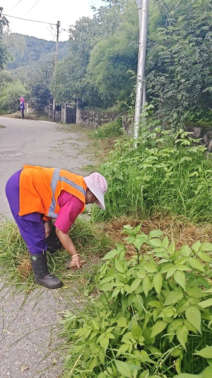 During cleaning photo