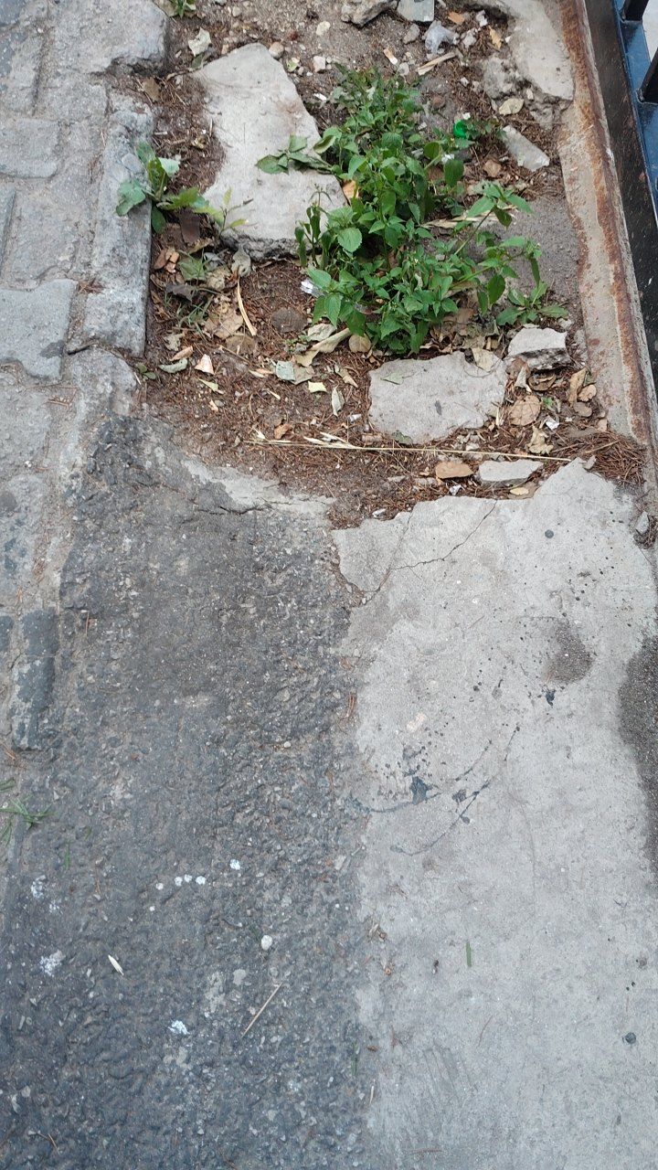 After cleaning photo