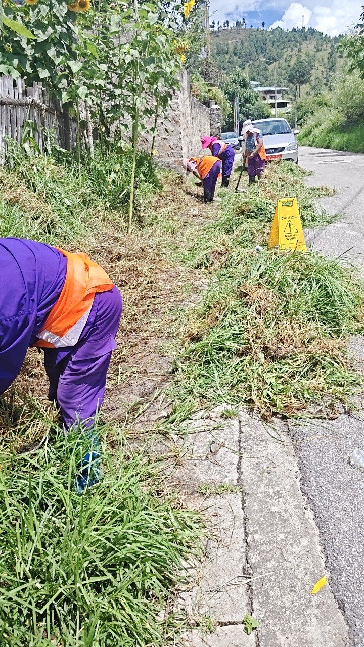 During cleaning photo