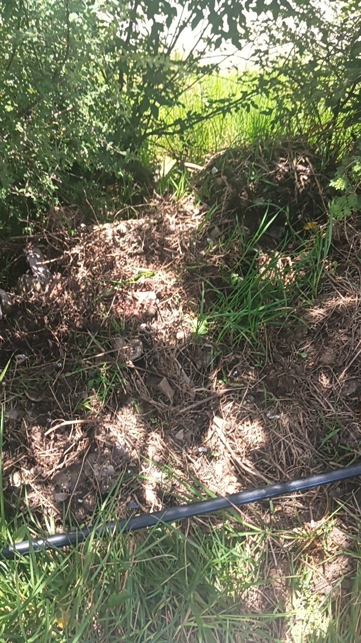 After cleaning photo