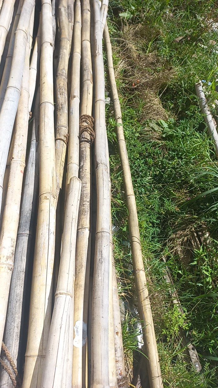 Before cleaning photo
